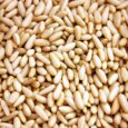 PIÑON- 50gr