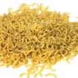 FIDEO TRIGO N-5 -FIDEUA-- 250gr