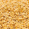 SEMILLAS LINO DORADO- 100gr.