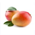MANGO KENT-unidad-