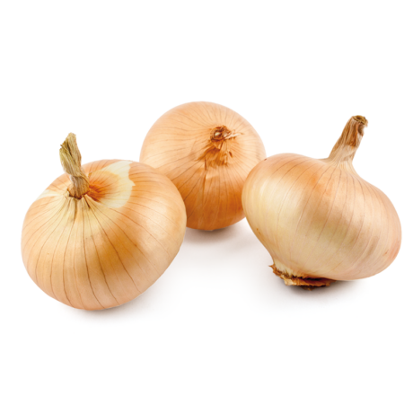 CEBOLLA BLANCA PLANA 500gr