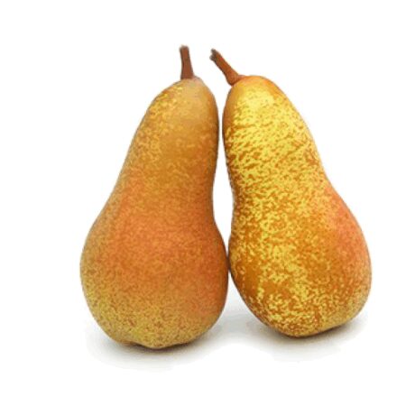 PERA ERCOLINI 500gr