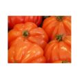 TOMATE CORAZON DE BUEY- 500gr