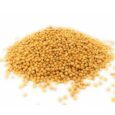 MOSTAZA NEGRA EN GRANO- 25gr