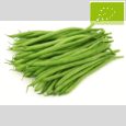 JUDIA VERDE REDONDA- 500gr