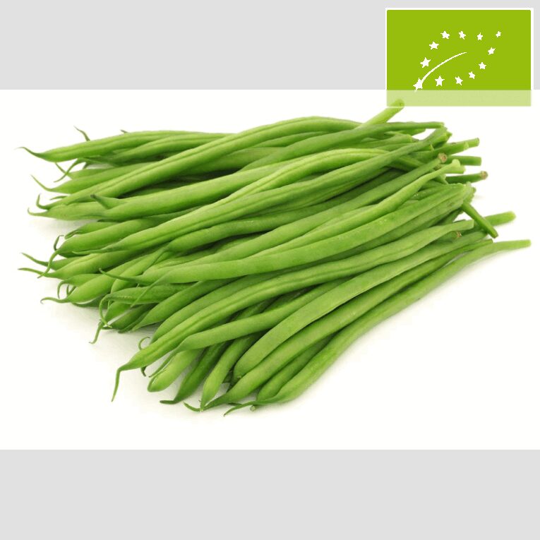 JUDIA VERDE REDONDA- 500gr