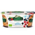 YOGUR GRIEGO FRUTAS DEL BOSQUE