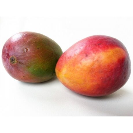 MANGO TROPIGOLD 500gr