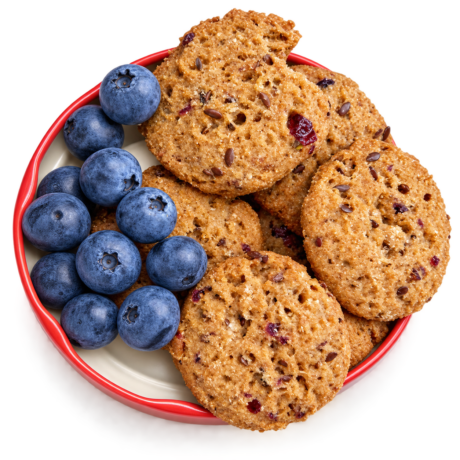 GALLETAS ESPELTA INTEG. CON ARANDANOS 250gr