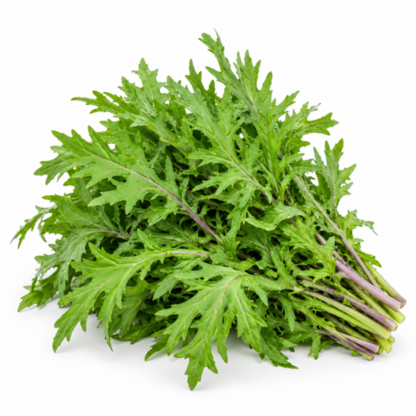 KALE RUSSIAN 100gr.