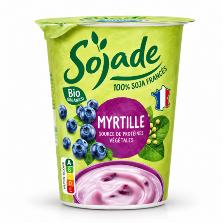 POSTRE DE SOJA CON ARANDANOS